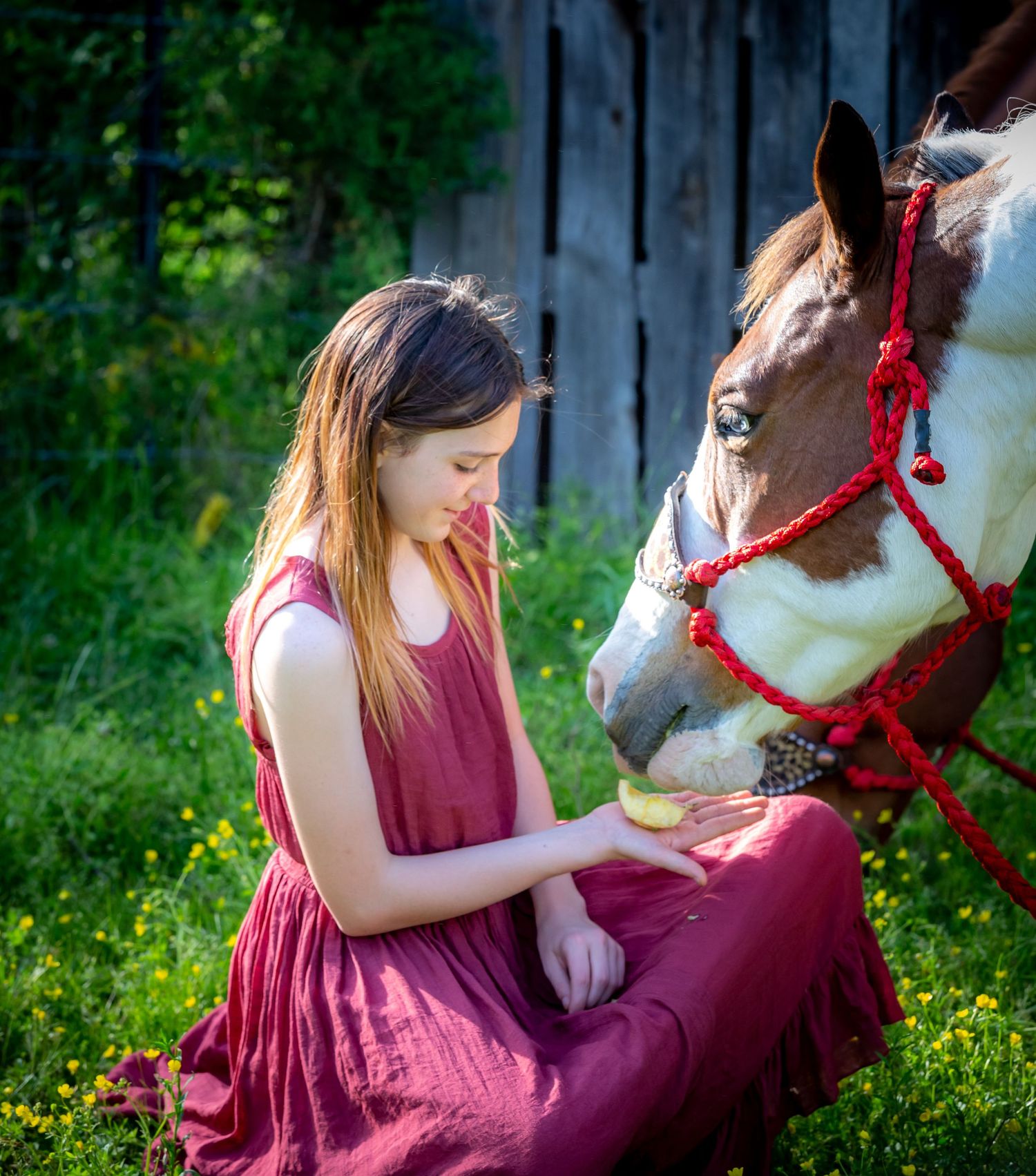 Eureka Springs Family Photographer, NWA Family Photographer