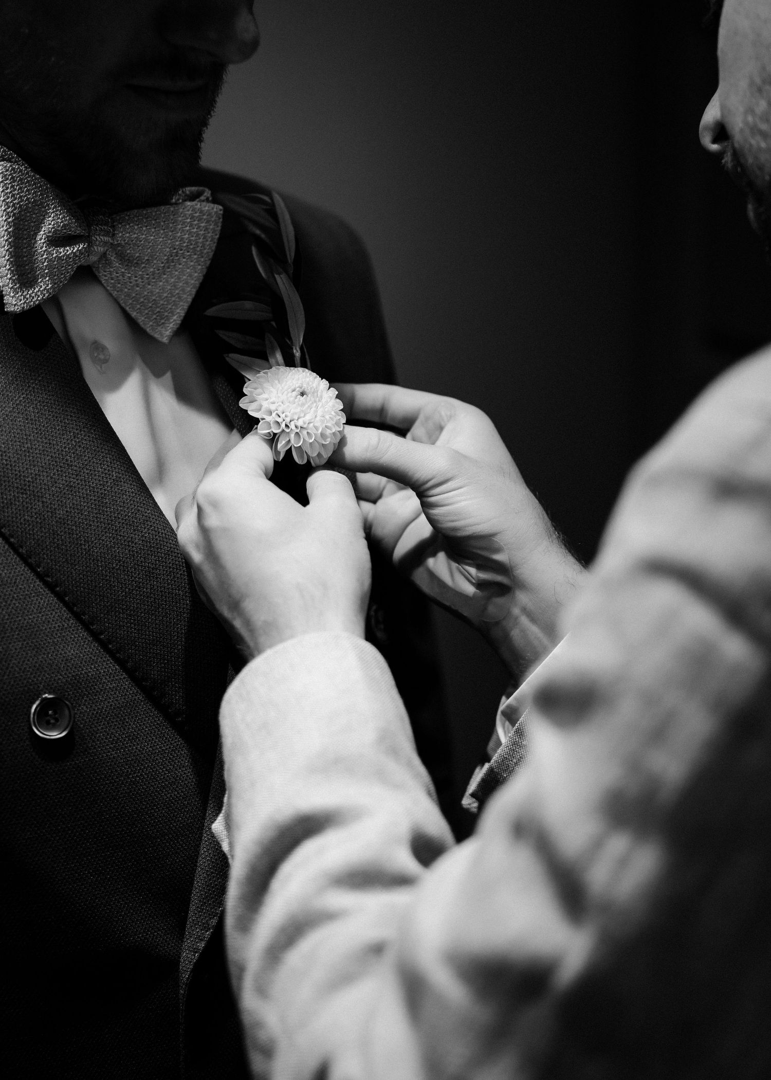 A black and white image of hands adjusting a boutonniere on a formal suit with bow tie.