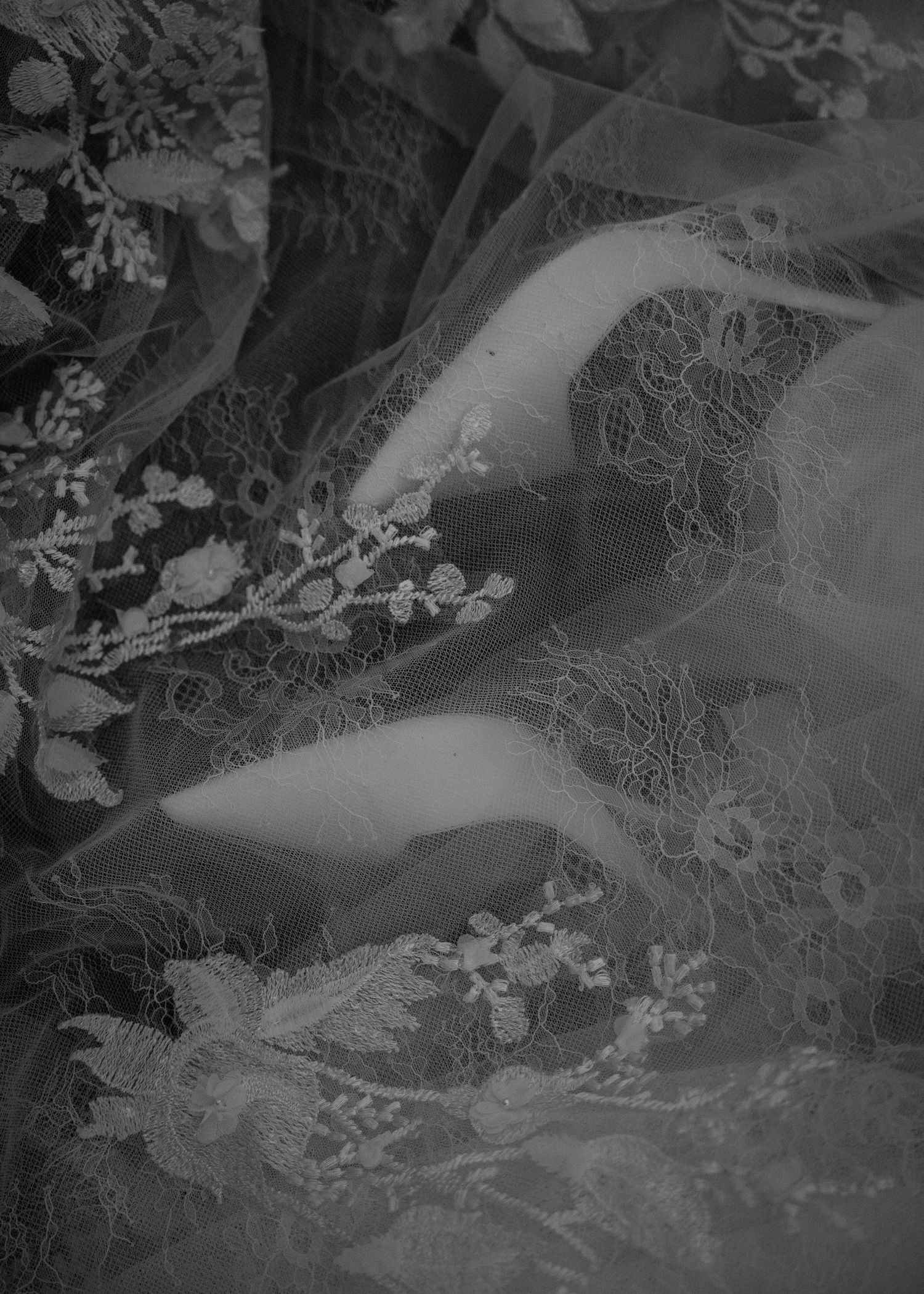 Close-up black and white detail of intricate lace wedding dress pattern.