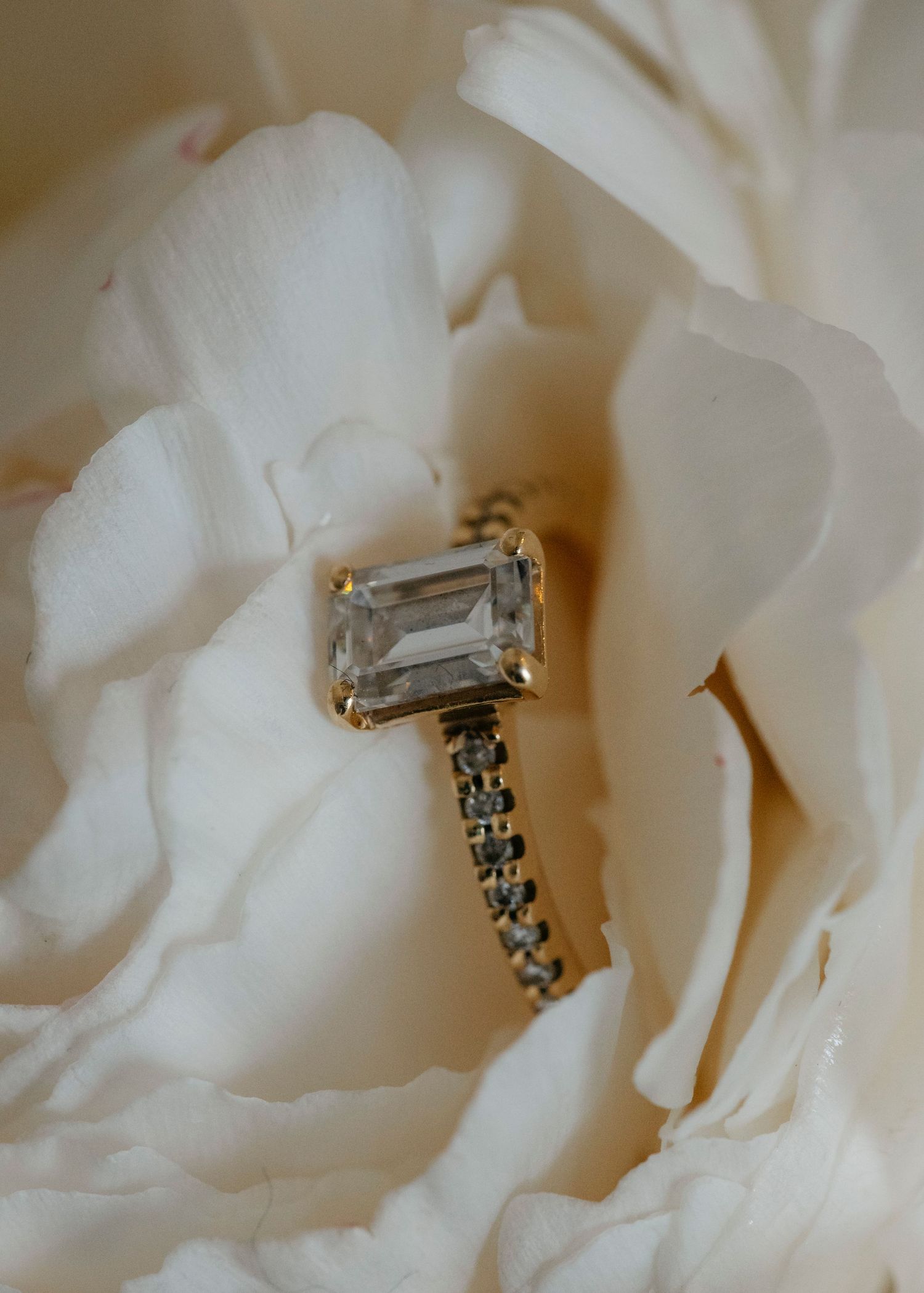 Diamond engagement ring nestled in white rose petals.
