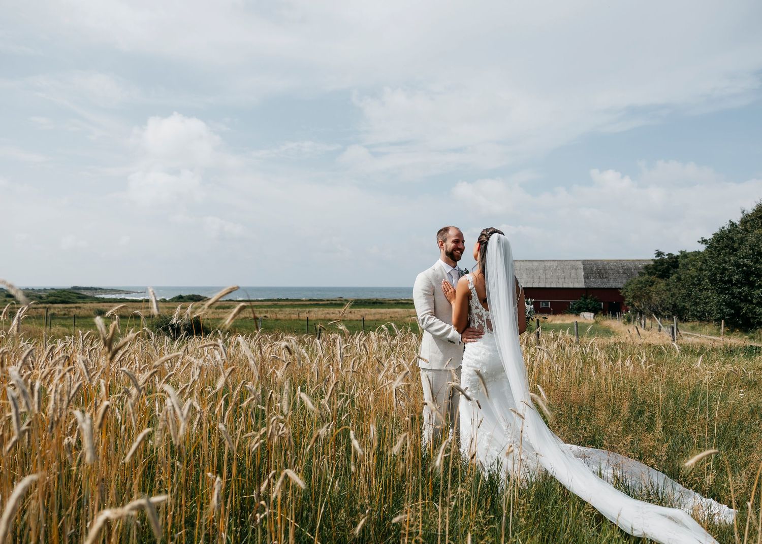 Panoramic view of a wedding couple in a golden wheat field with flowing veil.