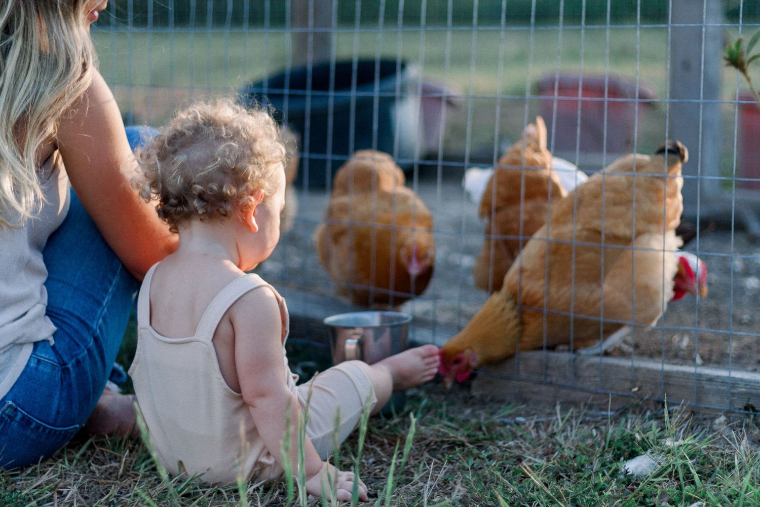 A child and adult sitting by a chicken coop watching the hens through the wire fence.