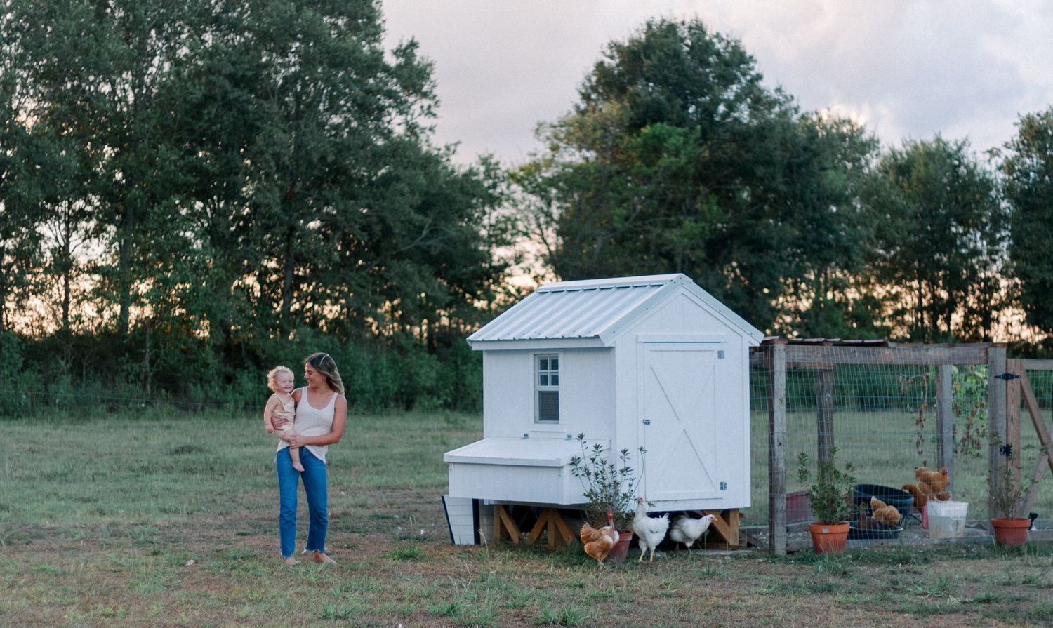 A white chicken coop stands in a rural backyard setting at sunset with figures in the background.