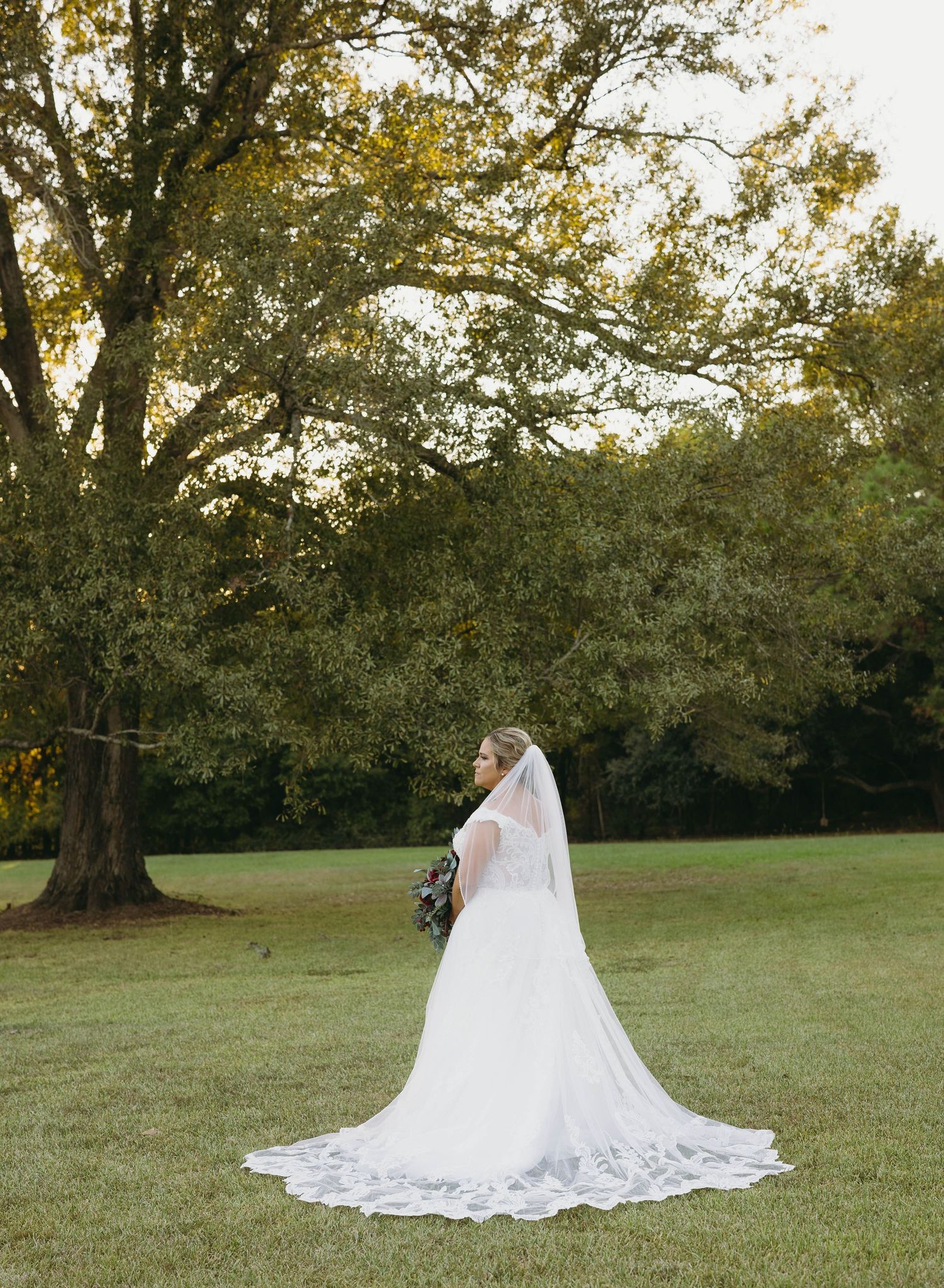 A bride in a flowing white lace gown with a long cathedral veil stands gracefully in a sunlit grassy field.