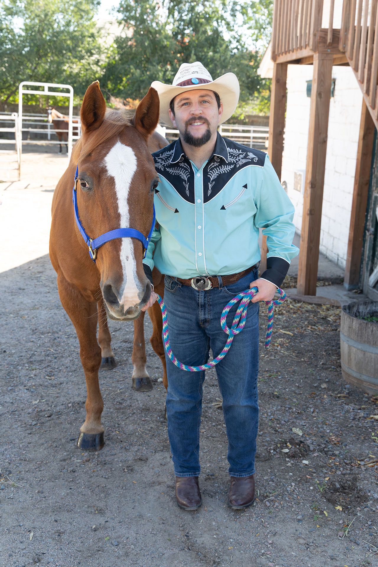 Colorado equine photographer.