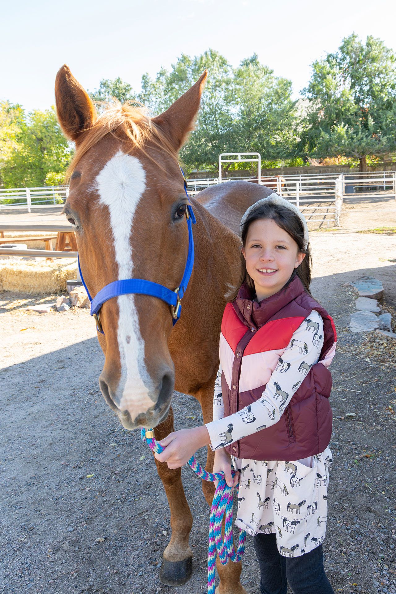 Littleton horse photographer.
