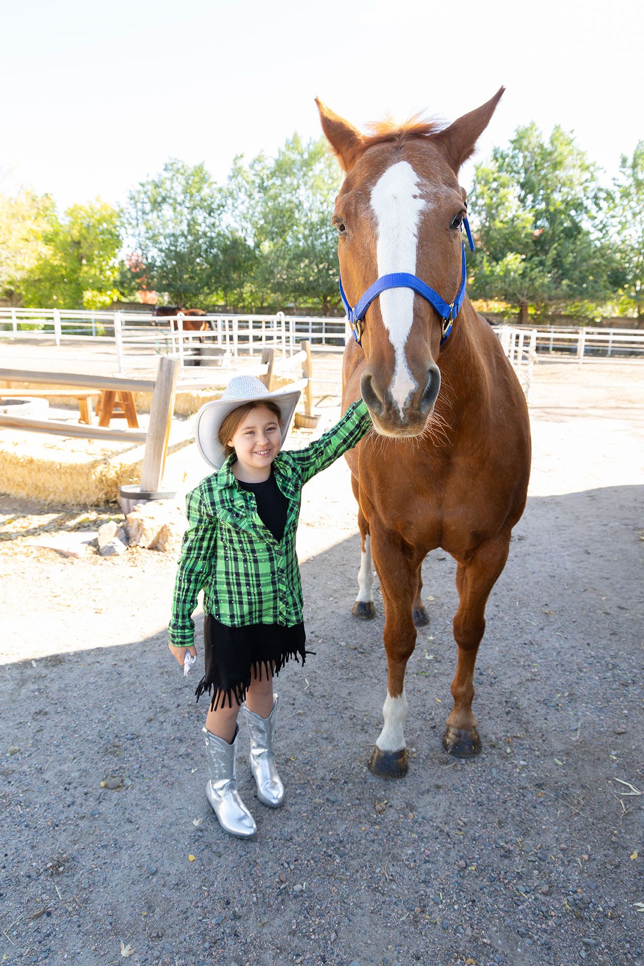 Lifestyle photography in Littleton, Colorado.