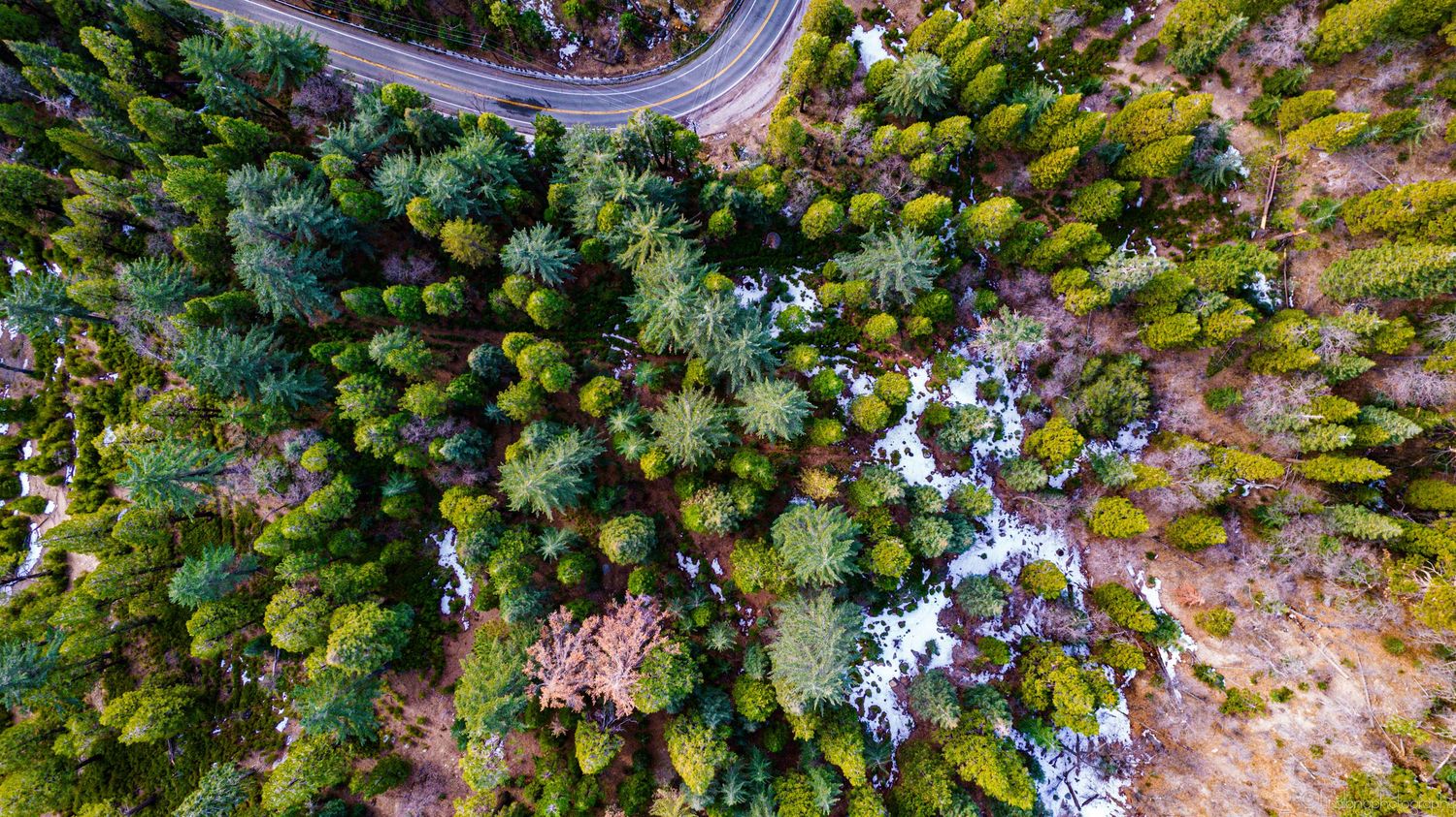 Aerial view of winding mountain road through dense forest landscape.