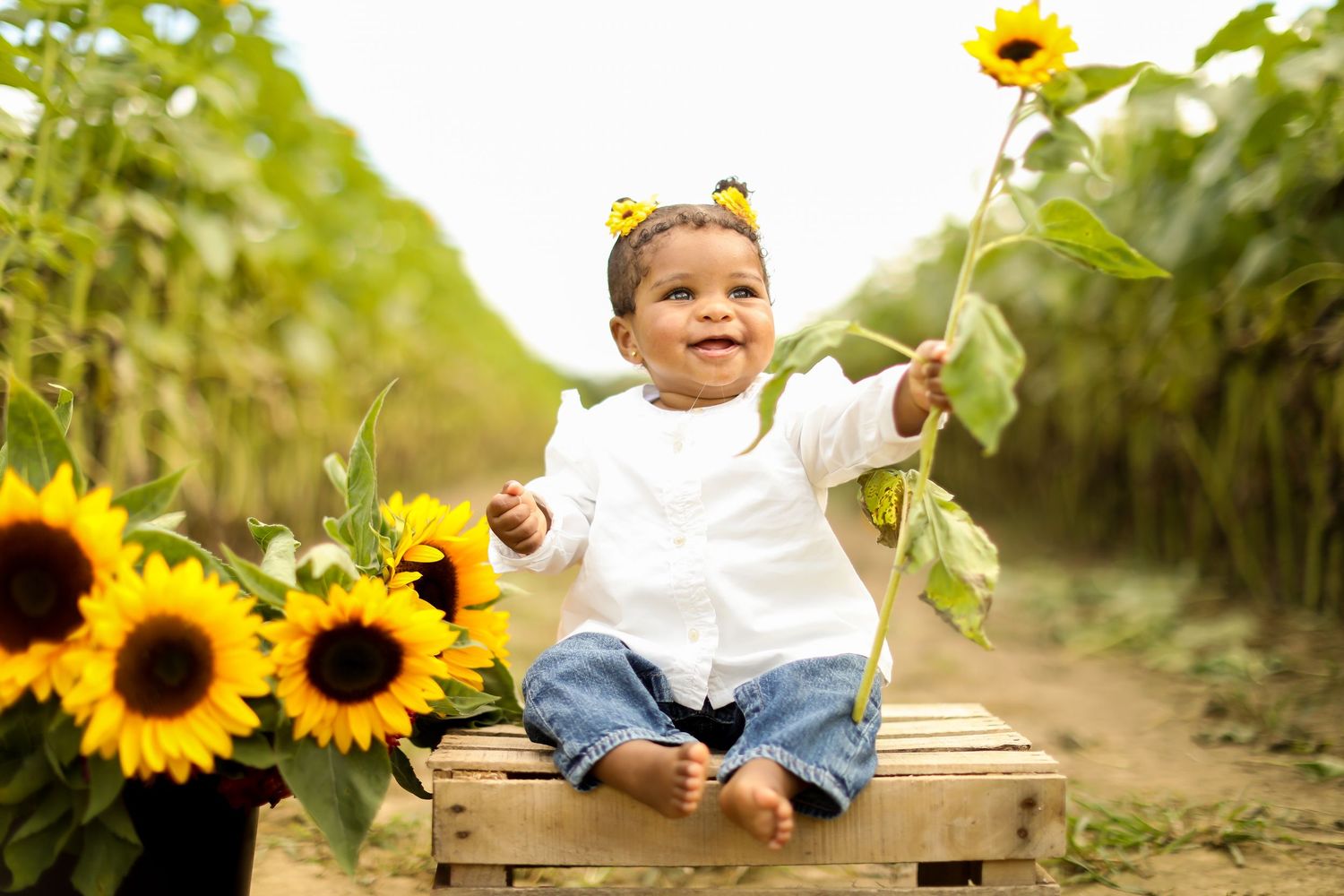 Child sitting on wooden crate surrounded by blooming sunflowers in garden setting.