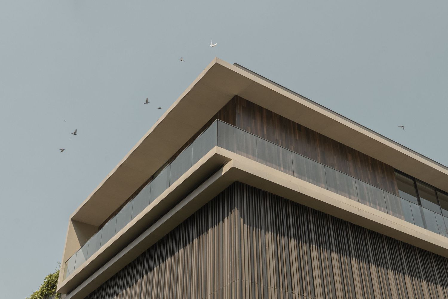 Close-up of modern building corner featuring vertical wood cladding and clean concrete eaves against blue sky.