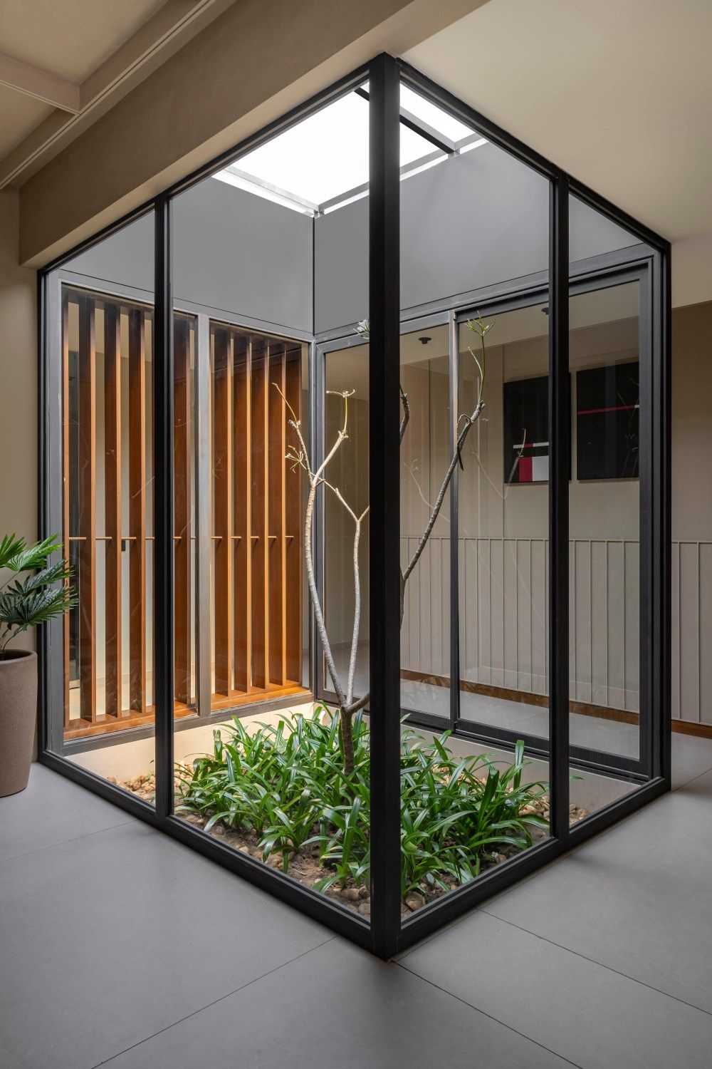 Contemporary indoor glass greenhouse enclosure with tropical plants, bare branch tree, and wooden slat wall backdrop.