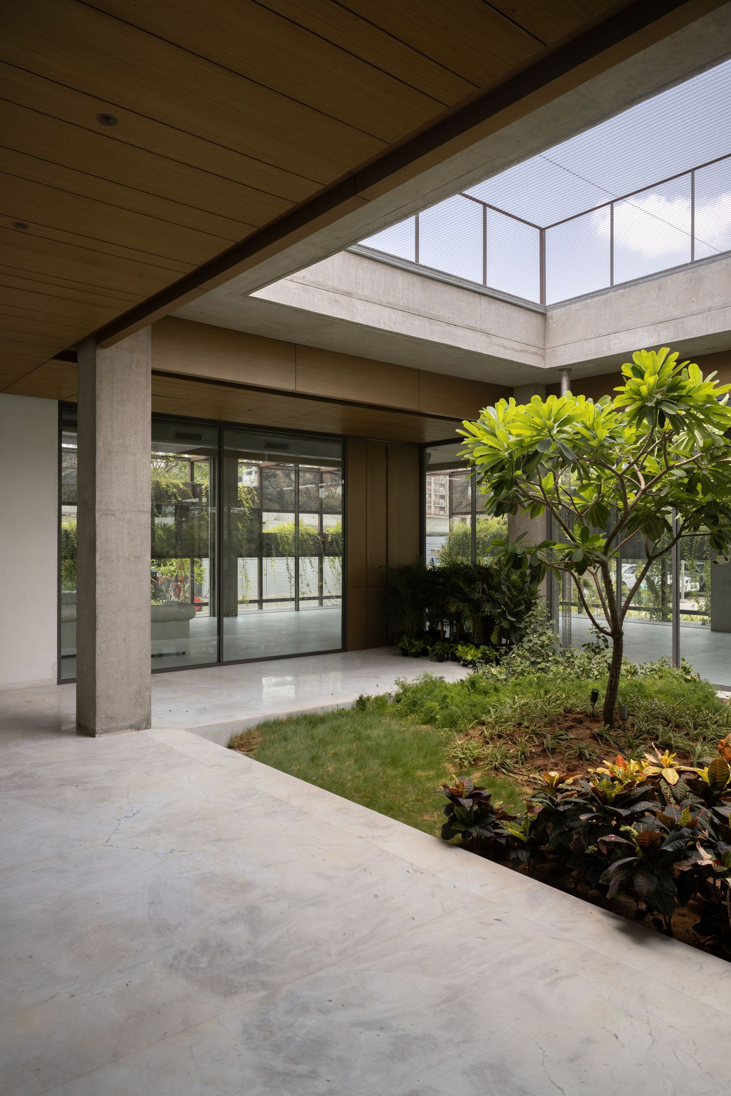 Modern courtyard with concrete floors, glass walls, lush green garden, and open-air skylight in contemporary architecture.