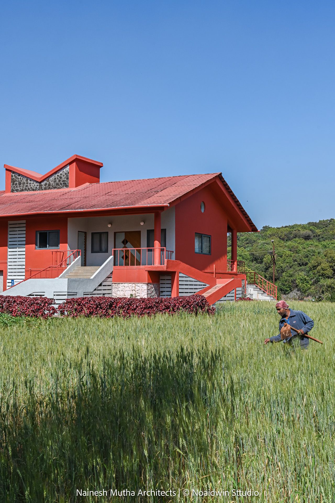 Vibrant red farmhouse with pitched roof surrounded by green wheat fields and blue sky.
