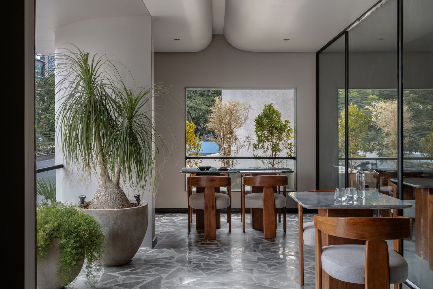 Stylish dining area with wooden chairs, marble table, large potted ponytail palm, and floor-to-ceiling glass windows.