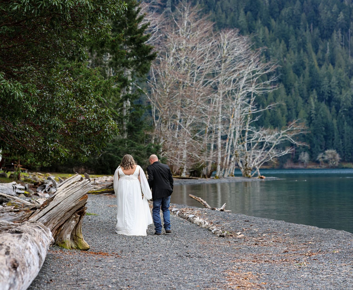 Rocky shoreline with fallen logs and evergreen trees along a misty mountain lake.