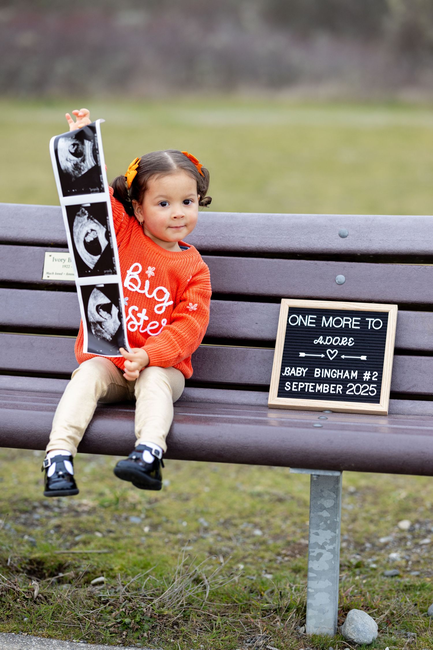 Pregnancy announcement photo series showing sonogram and chalkboard sign on a park bench.