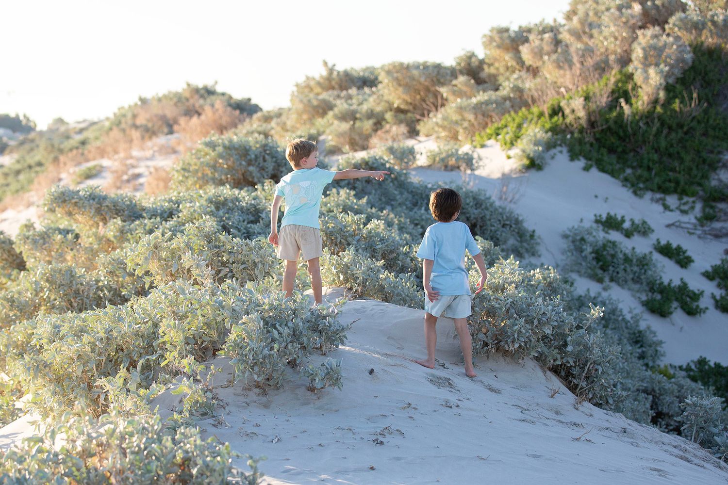 People walking along coastal sand dunes with native vegetation.