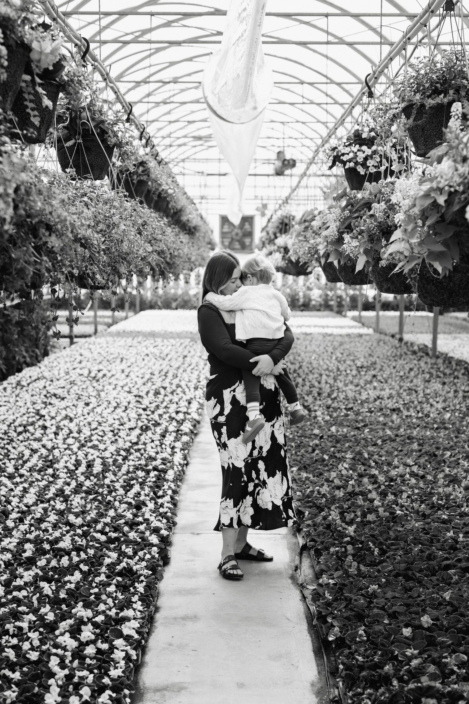 A black and white photograph in a greenhouse with rows of flowers and hanging baskets.