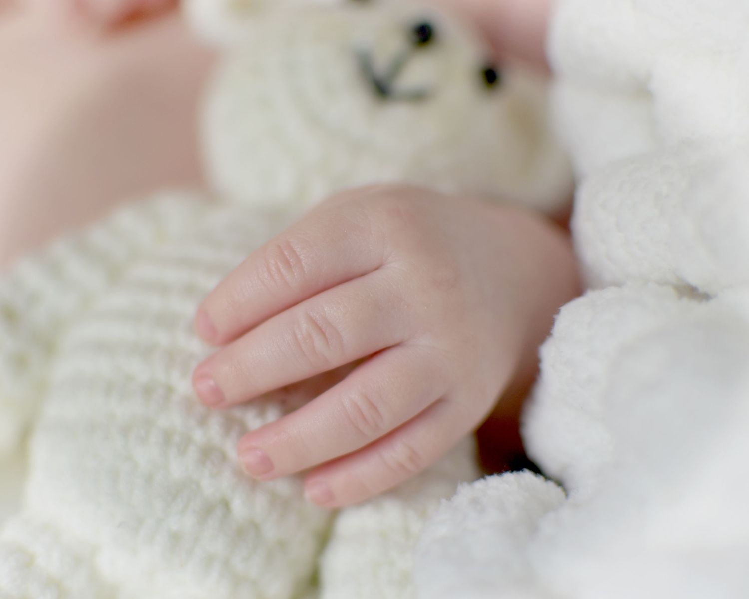 Delicate baby hands holding on white textured bear, San Antonio newborn photography session