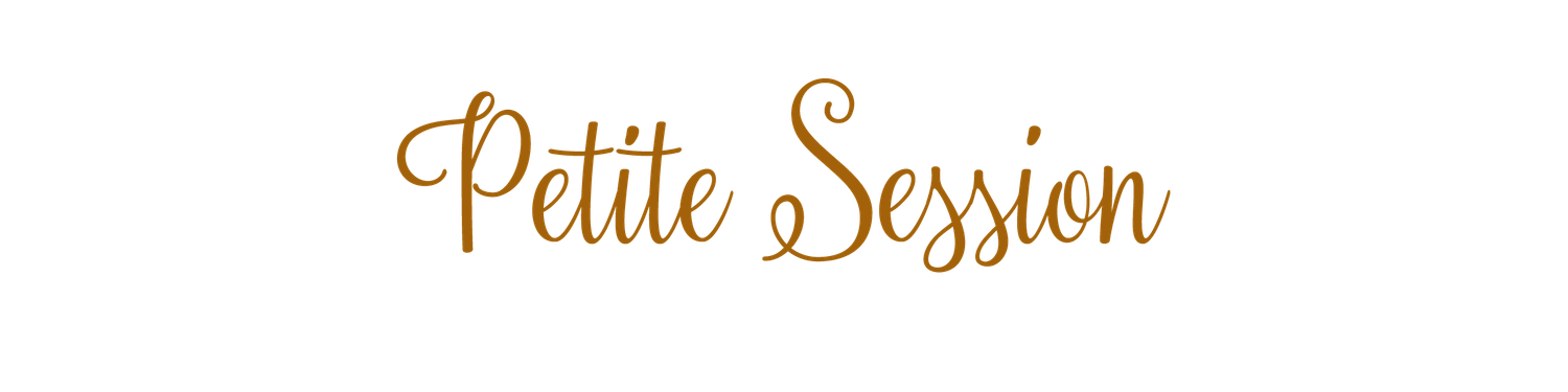Elegant gold cursive script reading Petite Session on a clean white background.