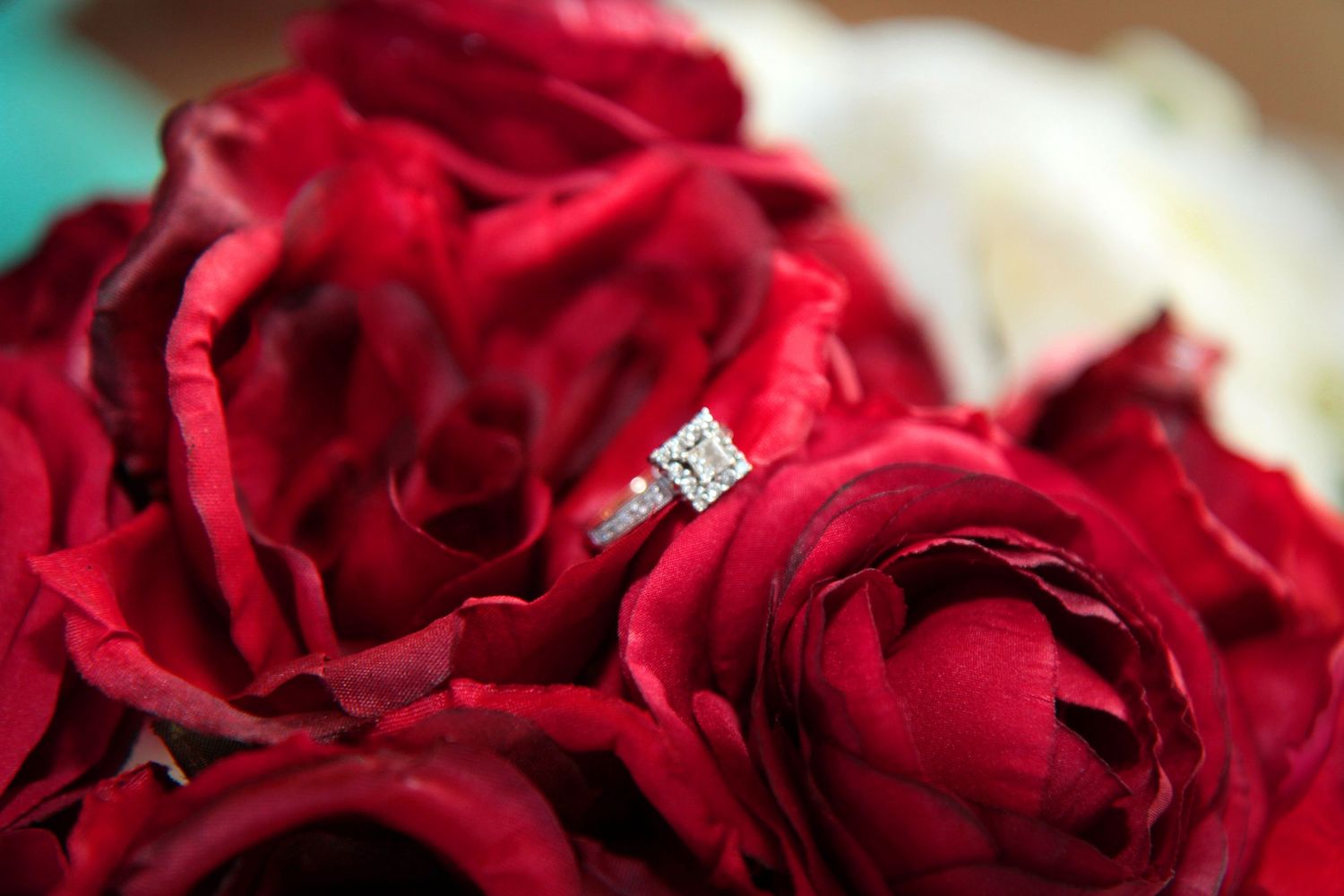 Close-up detail shots of deep red roses with dramatic lighting. San Antonio wedding photographer and Texas area