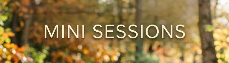 Autumn forest backdrop banner with bokeh foliage displaying Mini Sessions text in elegant gold typography.