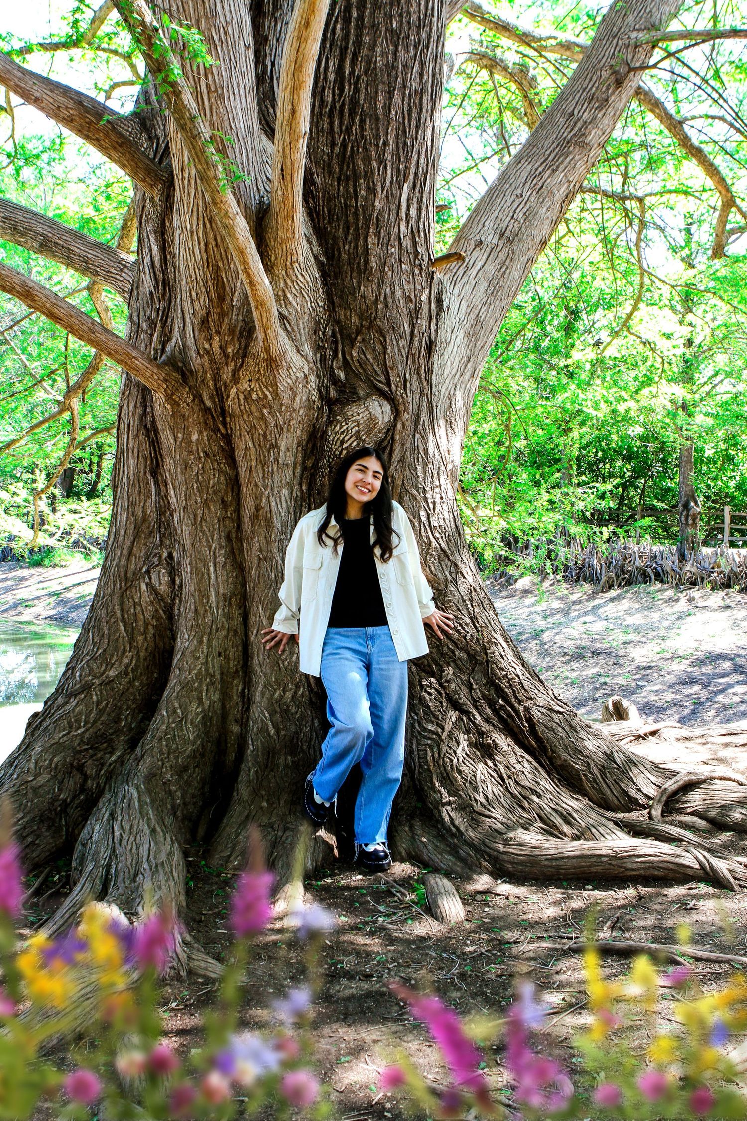 A student in blue jeans and white top posing near the massive trunk of an old tree at Denman Park at her senior photo session in San Antonio