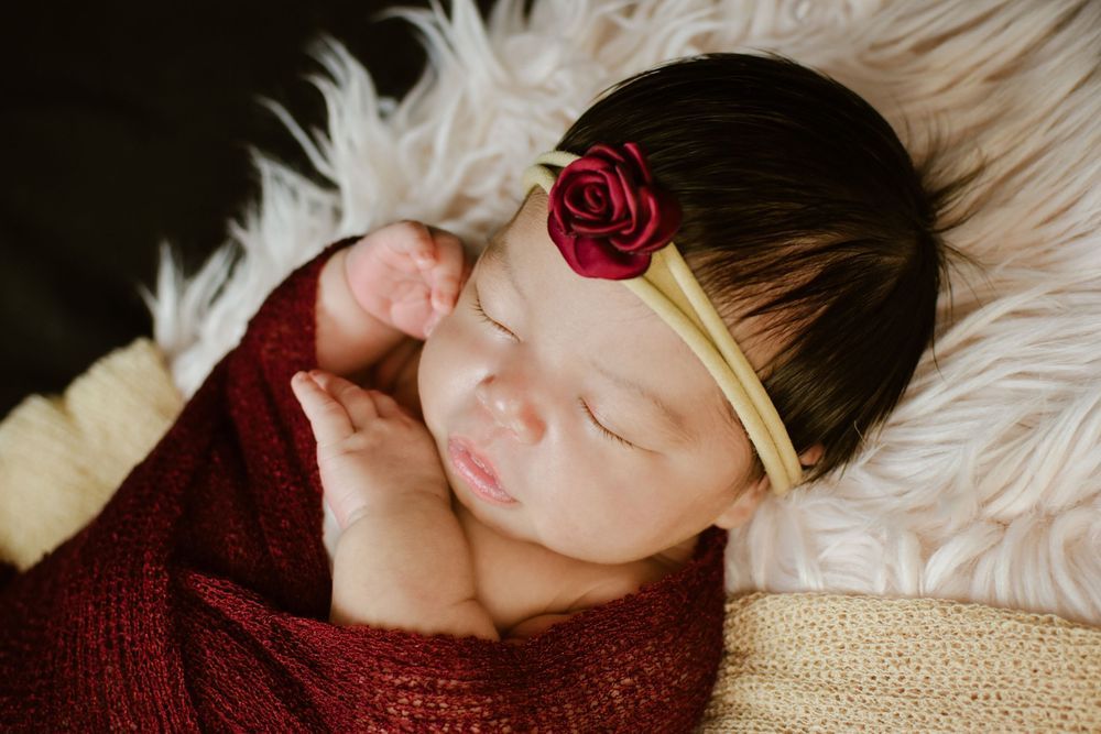 Sleeping newborn baby girl wrapped in red knit blanket wearing gold headband with rose on fluffy white background.