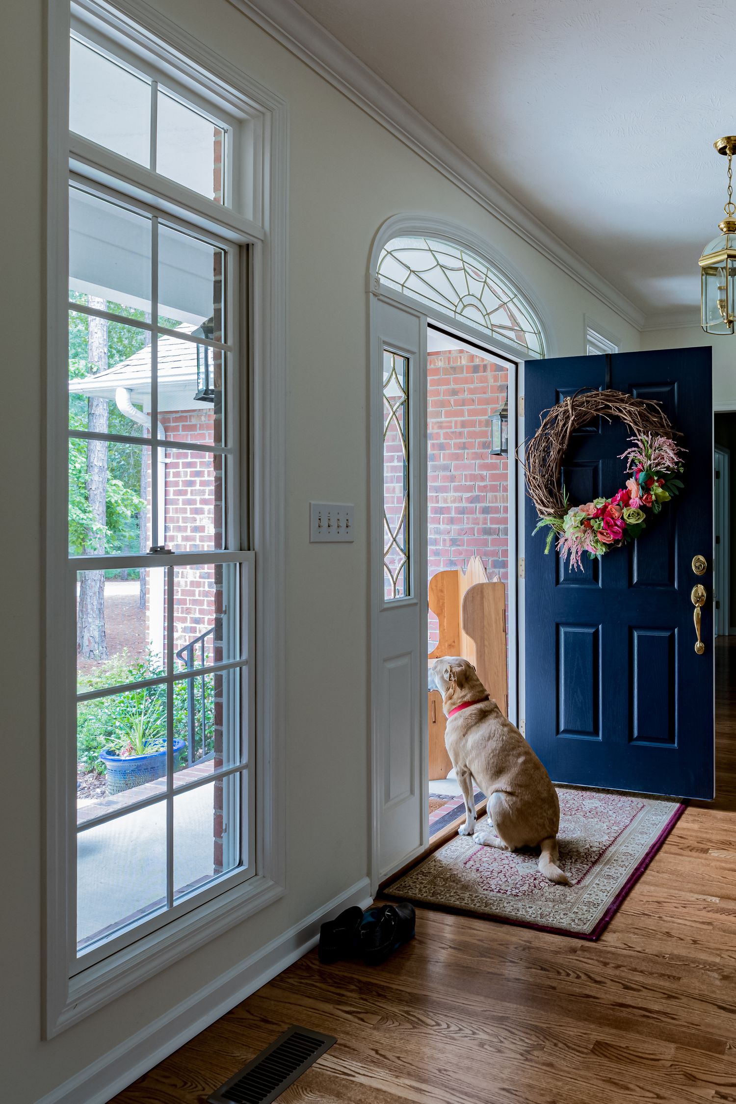 Lifestyle-focused real estate photography designed to enhance emotional connection. Yellow Labrador waiting by blue door.