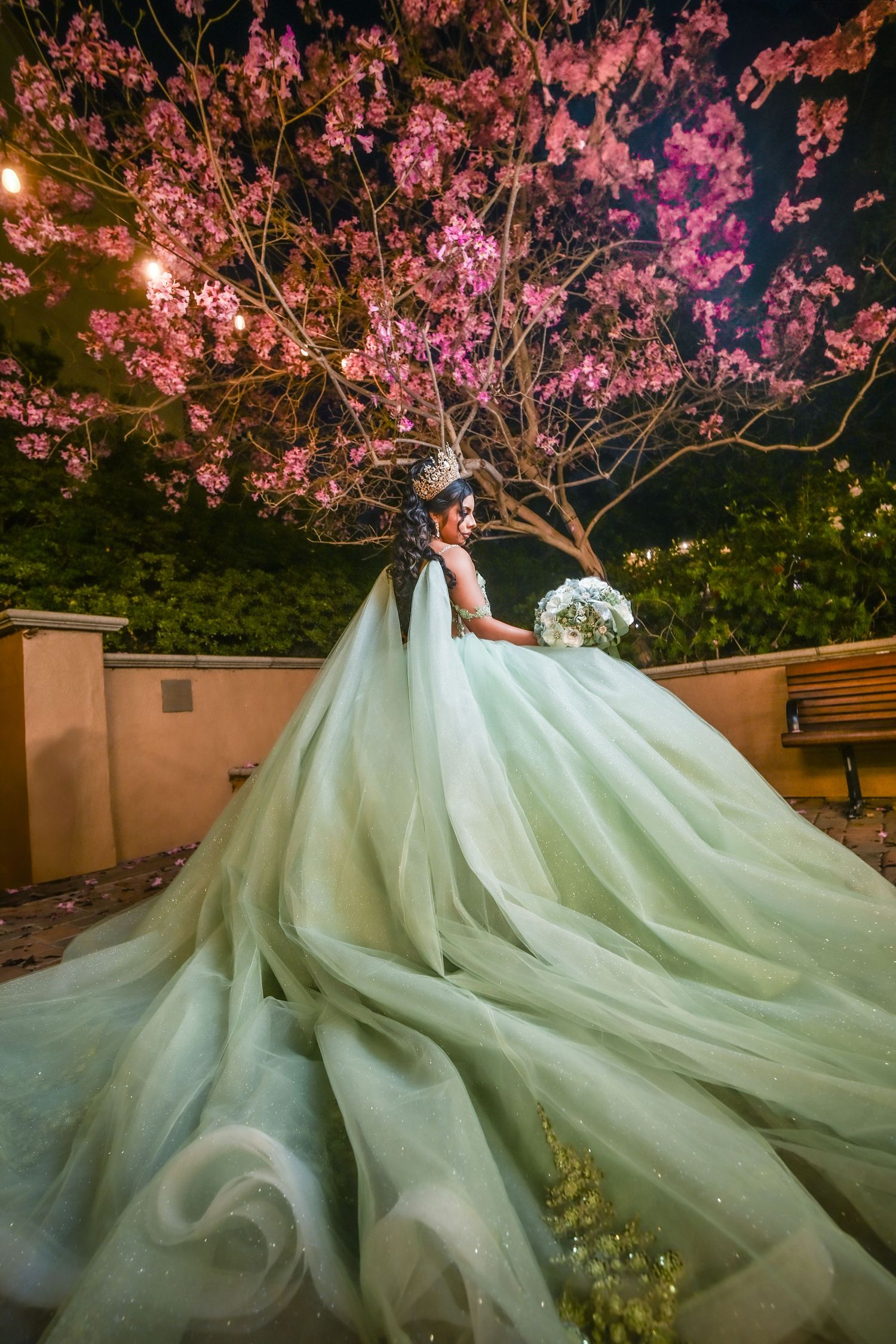 quinceañeras, party, fiesta, sweet 15, photographer, fotografo., escondido, vals, ramo, vestido de quinceañeras, wedding, bride, novia, boda