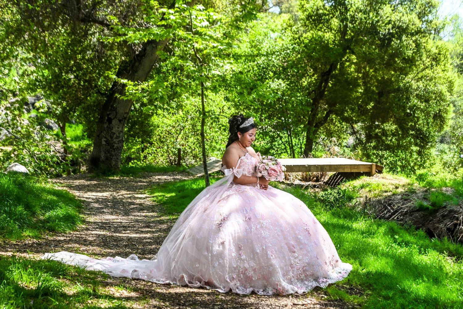 quinceañeras, party, fiesta, sweet 15, photographer, fotografo., escondido, vals, ramo, vestido de quinceañeras, wedding, bride, novia, bod