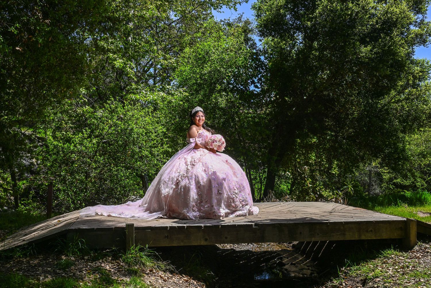 quinceañeras, party, fiesta, sweet 15, photographer, fotografo., escondido, vals, ramo, vestido de quinceañeras, wedding, bride, novia, boda