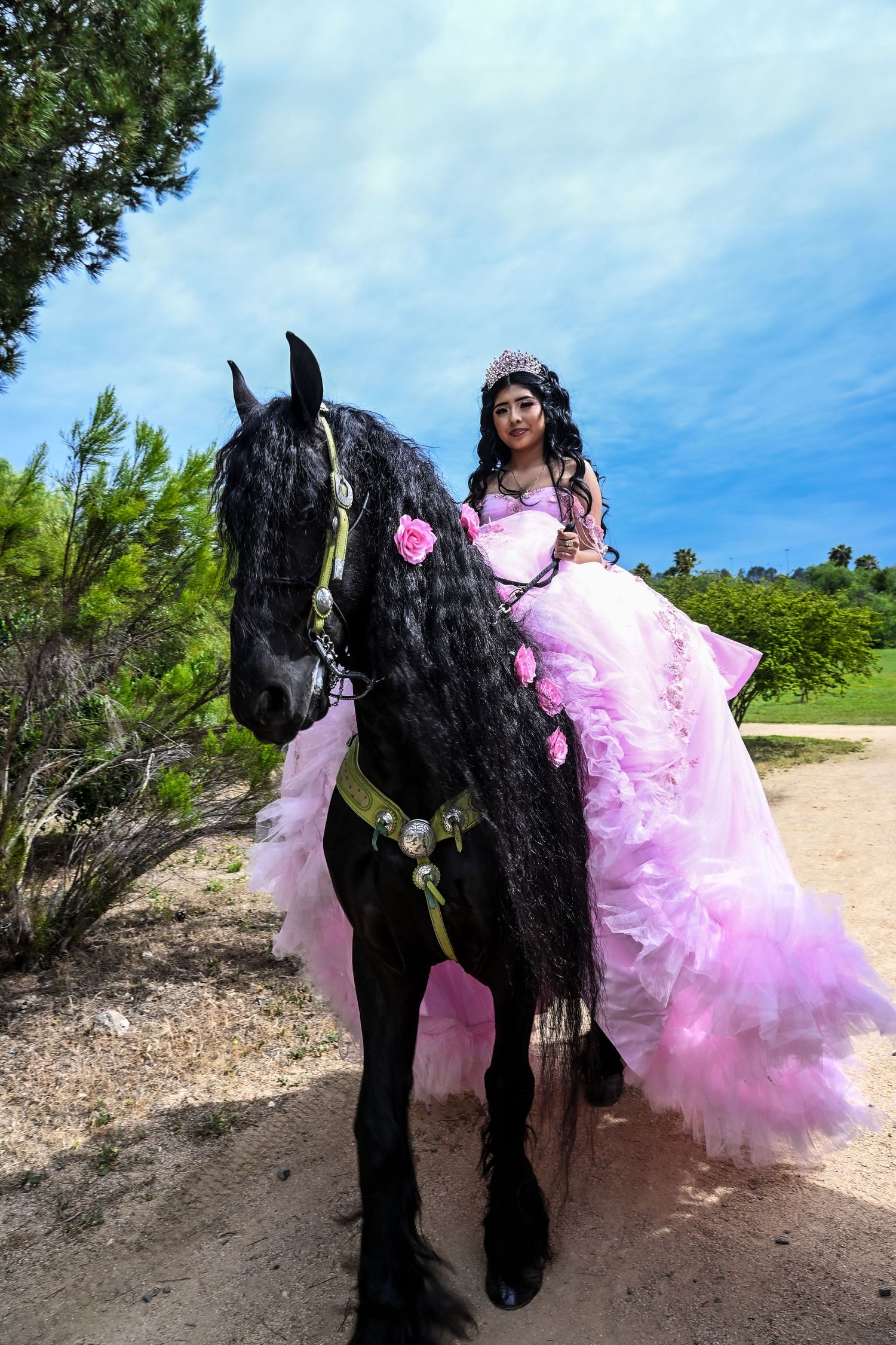 quinceañeras, party, fiesta, sweet 15, photographer, fotografo., escondido, vals, ramo, vestido de quinceañeras, wedding, bride, novia, boda
