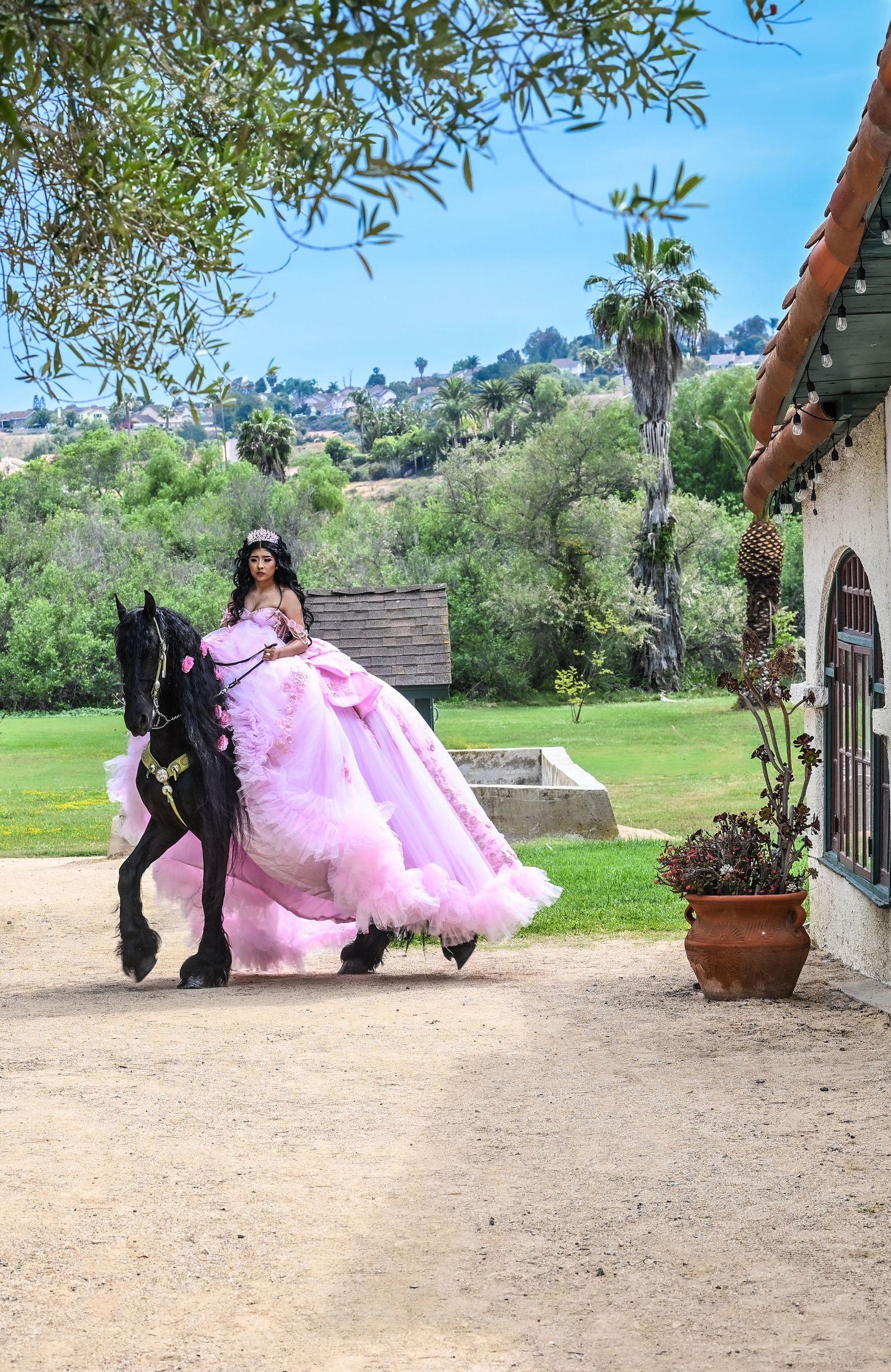 quinceañeras, party, fiesta, sweet 15, photographer, fotografo., escondido, vals, ramo, vestido de quinceañeras, wedding, bride, novia, boda