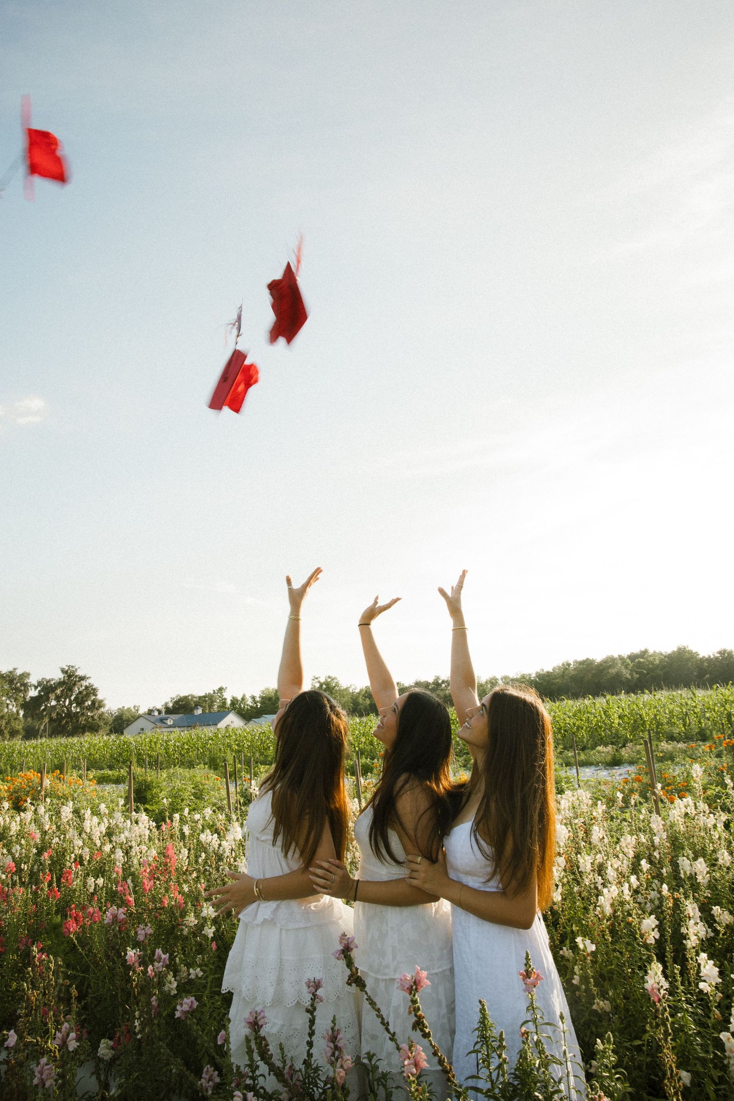 Three graduates in white dresses tossing red caps into the sky in a blooming flower field at sunset.
