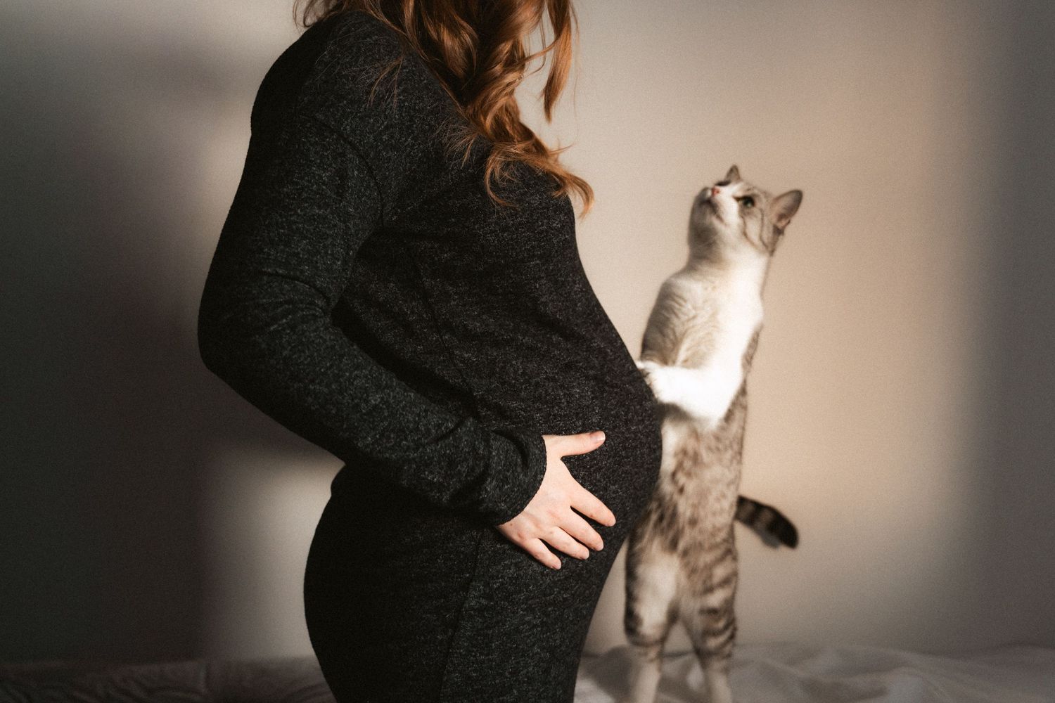 Pregnant woman in black dress cradling baby bump while tabby cat stands on hind legs beside her.