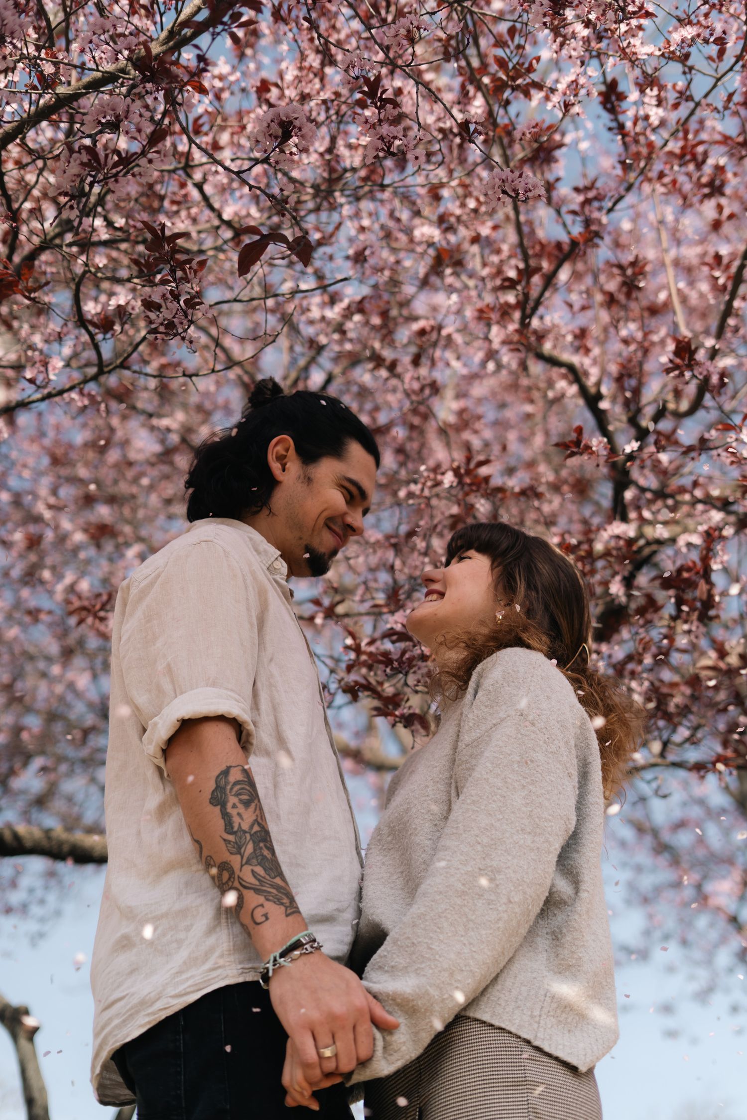 Happy couple holding hands and laughing under a stunning pink cherry blossom tree in spring.