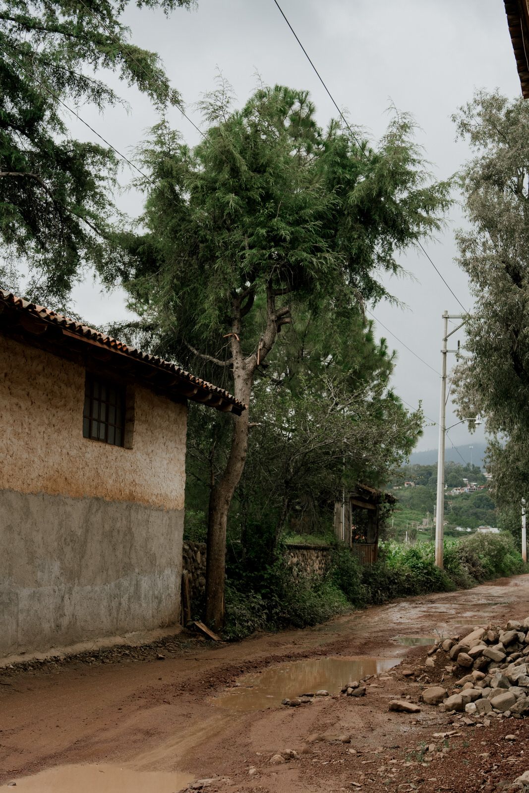 Dirt road path winding through rural area with stone walls and trees on overcast day.
