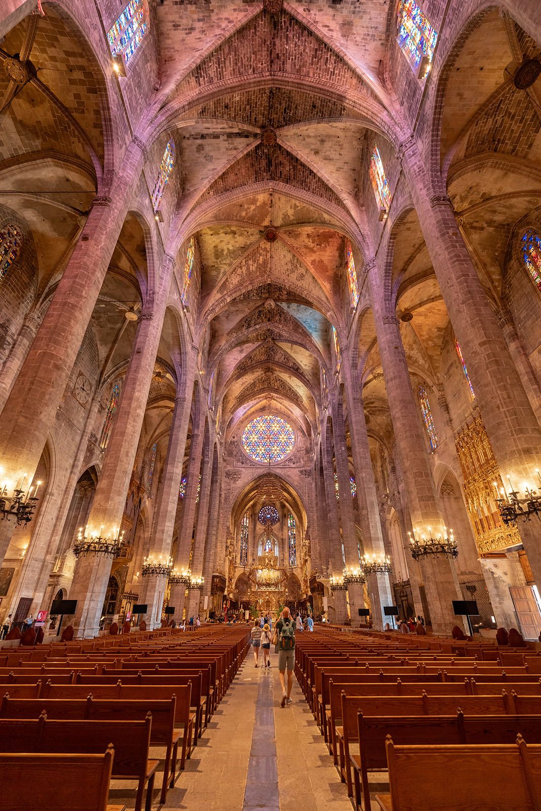 Gothic cathedral interior with vaulted ceilings, stone columns, and wooden pews illuminated by warm lighting.
