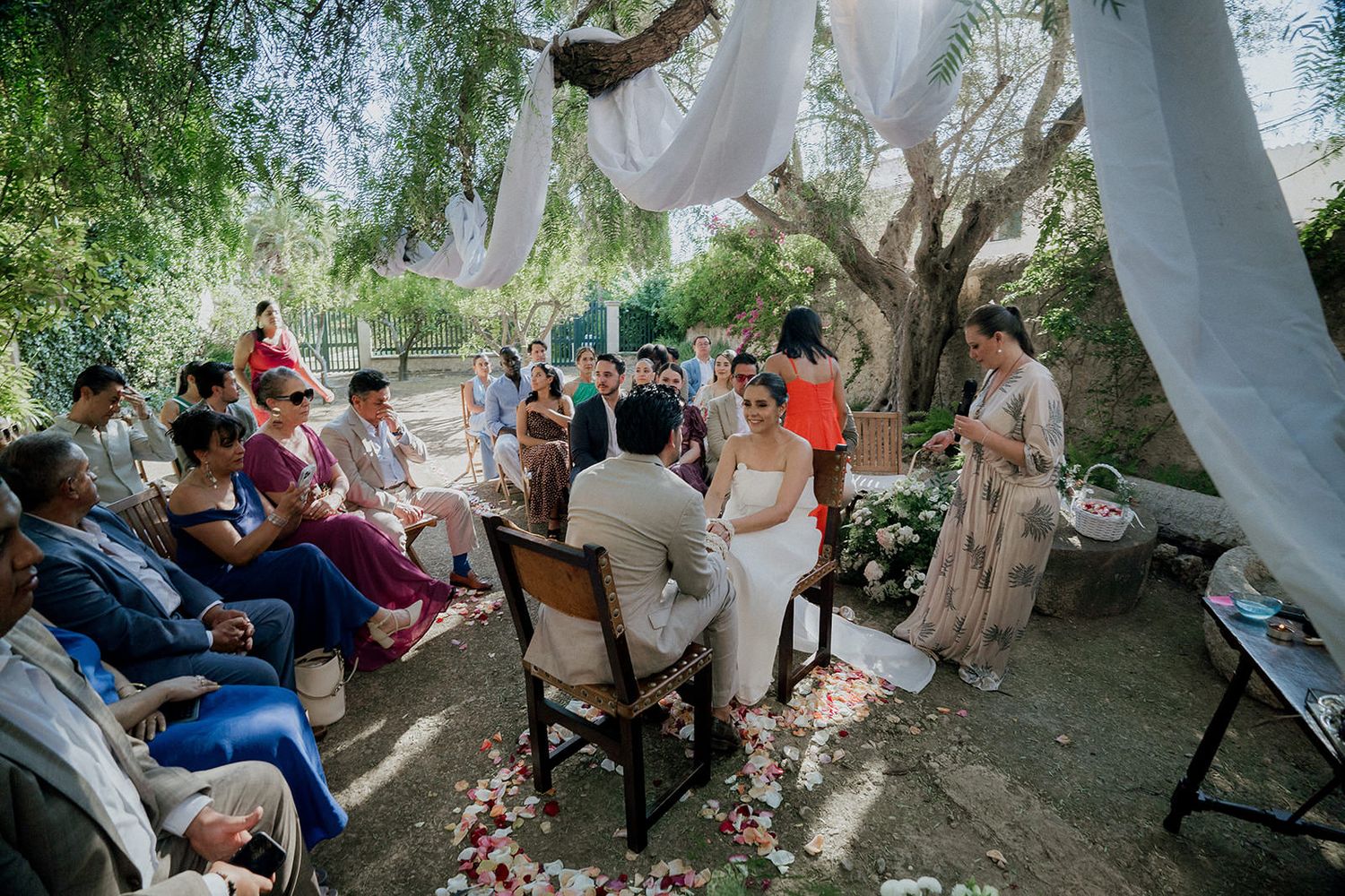 Intimate outdoor wedding ceremony with white fabric draping and rose petals lining the aisle.