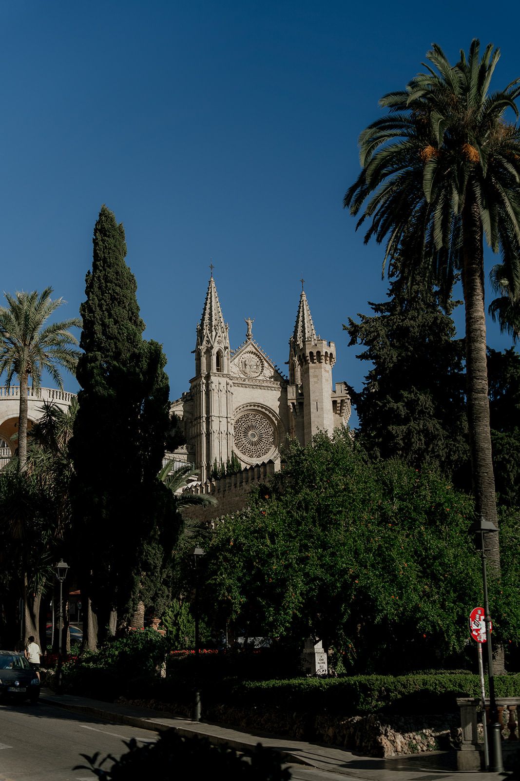 Gothic cathedral with spires and palm trees lining a pathway against blue sky in Palma de Mallorca, Spain.