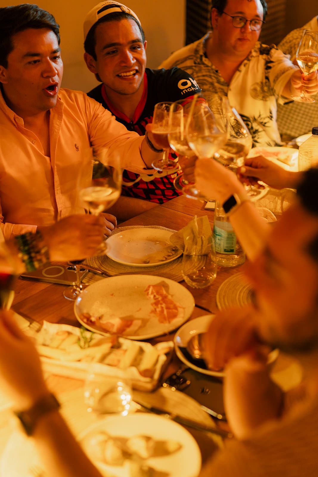 A warm dinner party scene with people raising wine glasses in a toast around a table with plates and dishes.