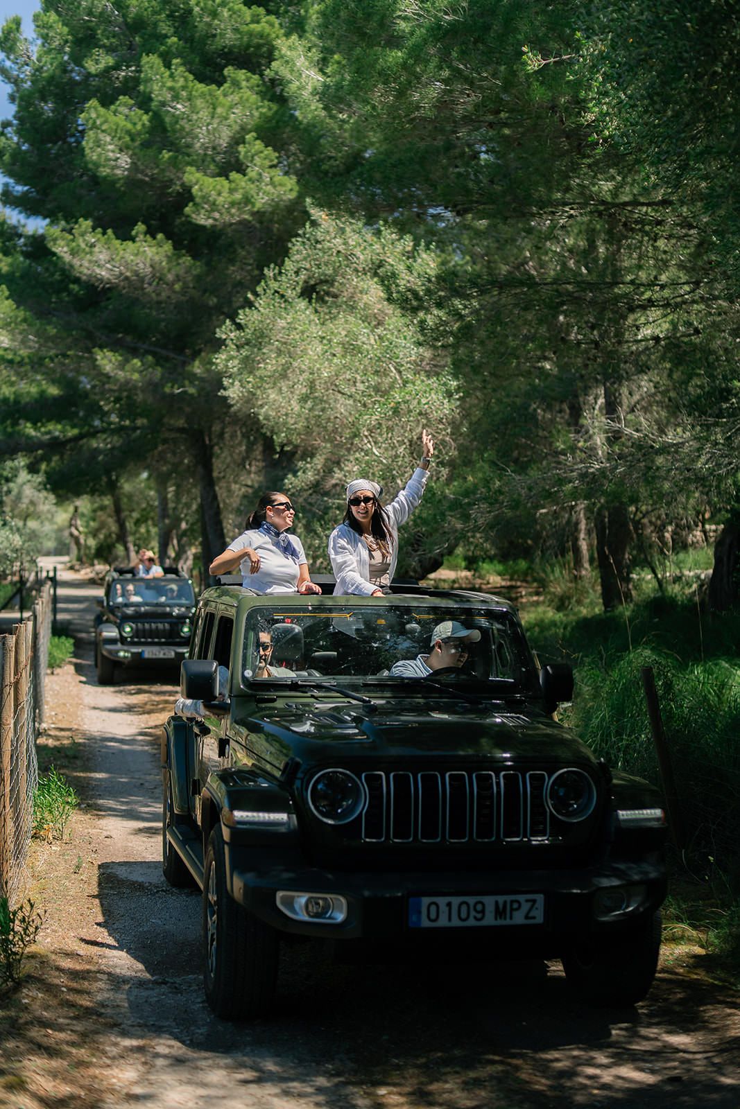 Group enjoying a scenic drive through a pine forest in vintage black convertible cars on a sunny day.