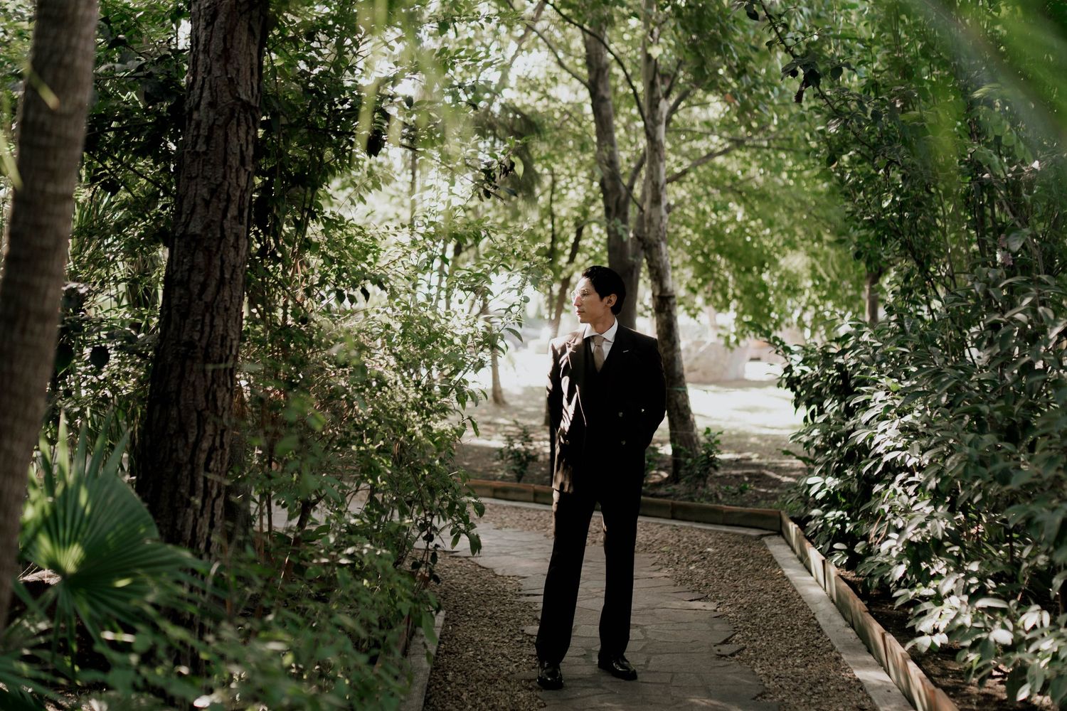 Tree-lined pathway with dappled sunlight filtering through the leaves during a formal photo session.