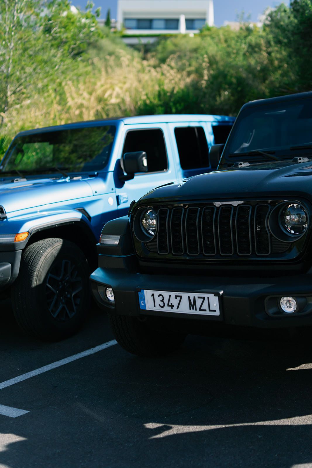 Two Jeep vehicles, one blue and one black, parked side by side in a parking lot with greenery in the background.