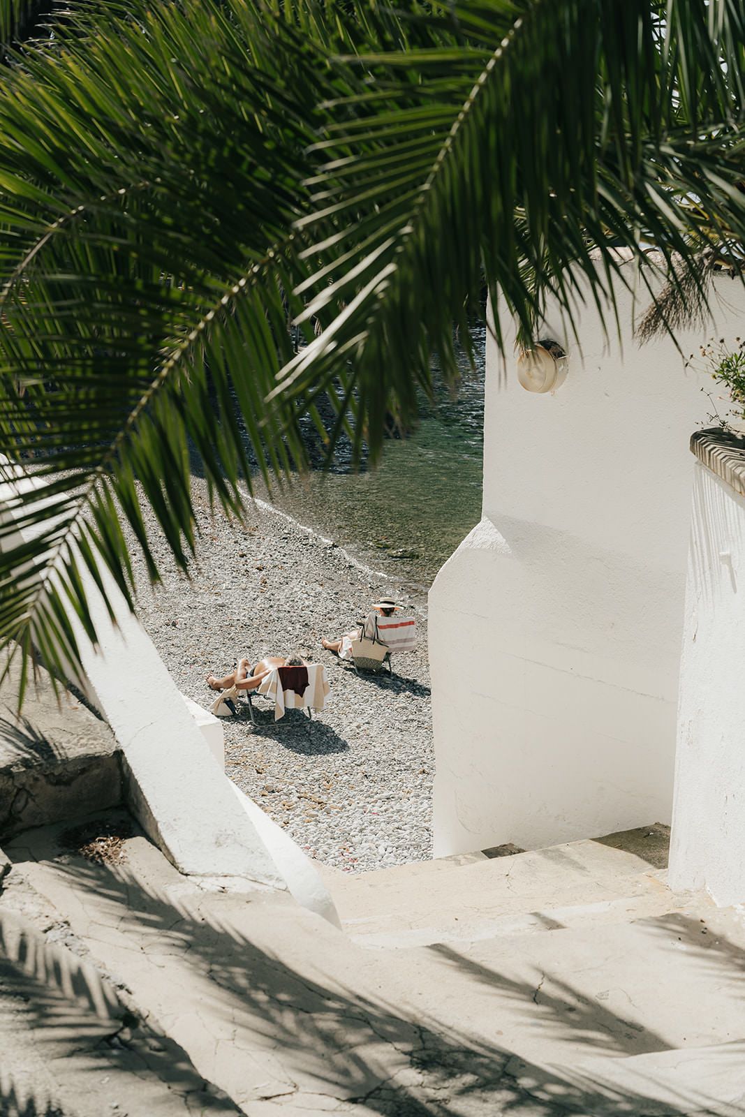 Palm fronds cast dramatic shadows on a white stucco wall creating an artistic pattern in natural sunlight.