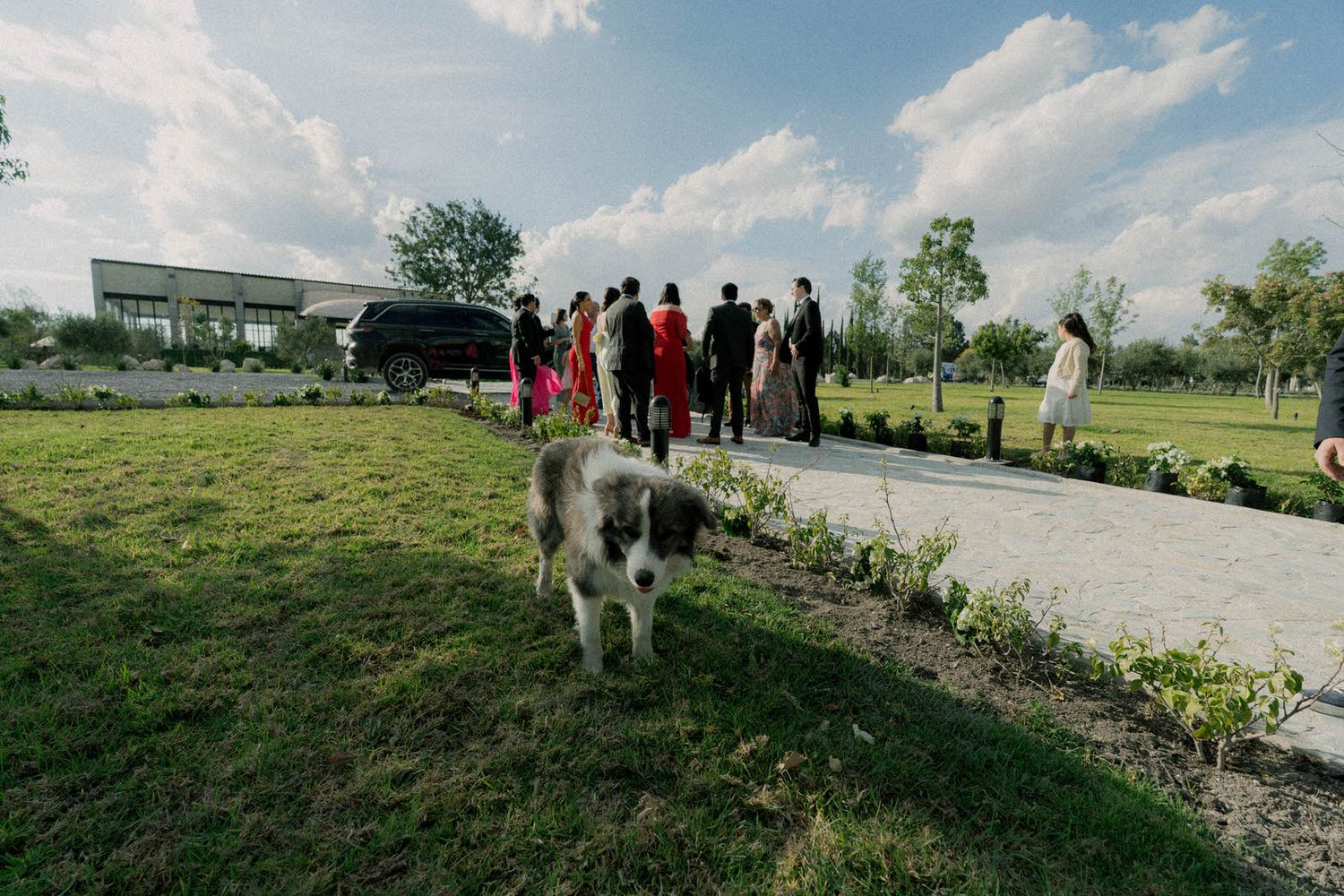 Group of people gathered on a hill silhouetted against a bright blue sky.