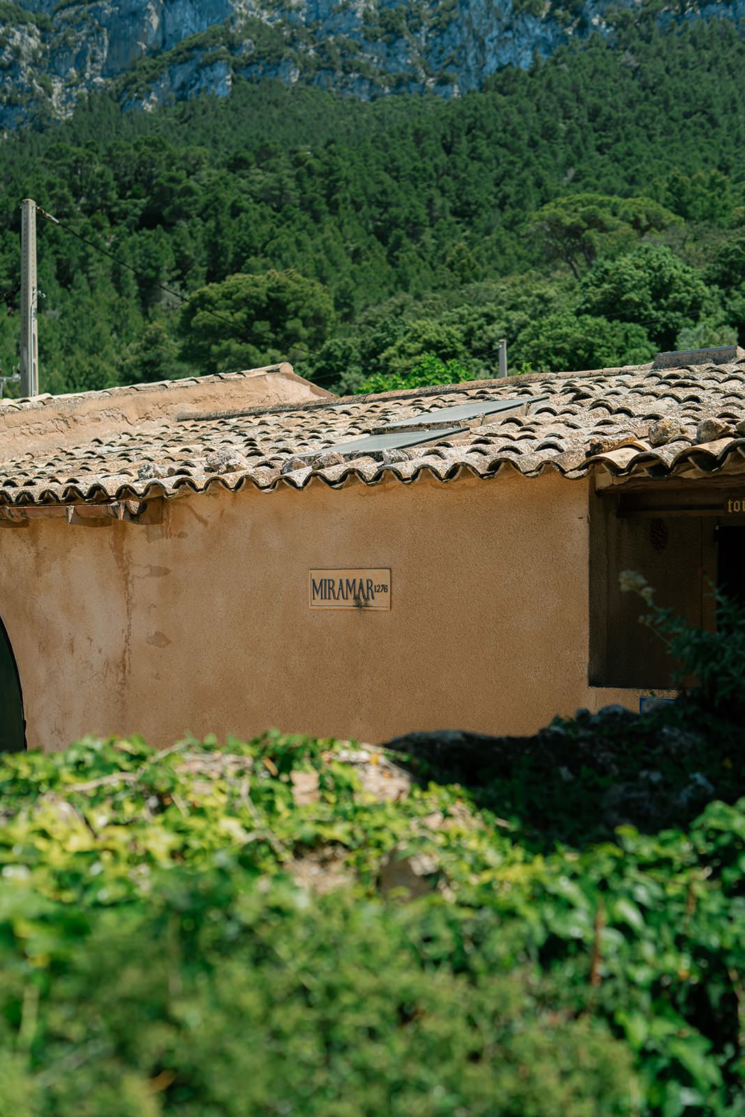 Clay tiled roof against mountain landscape with lush green forest backdrop.