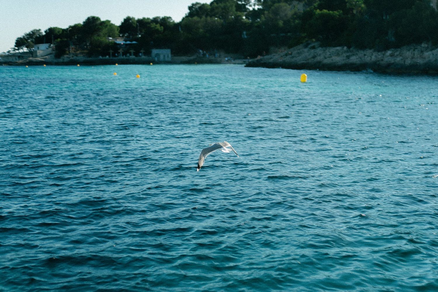 A series of scenic ocean views showing turquoise waters and distant shoreline on a bright sunny day.
