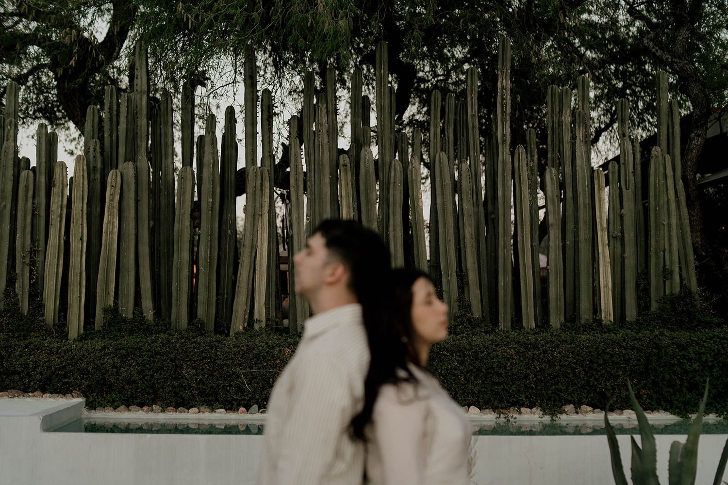 A couple dances and twirls together in front of a wooden fence at sunset.